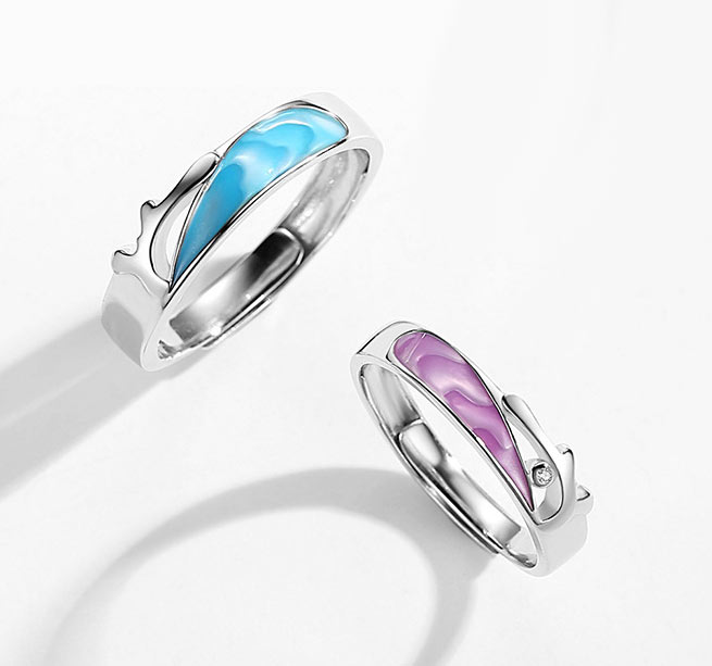 Matching Best Friendship Rings Set for 2